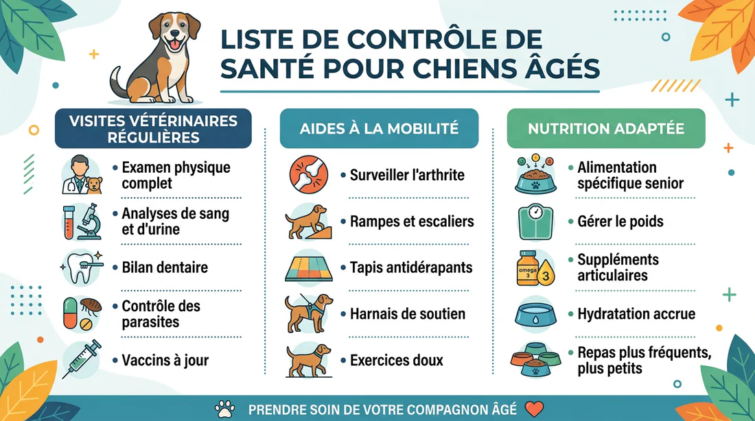 Infographie des conseils santé pour prendre soin d'un chien senior